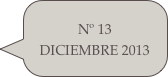 Nº 13 DICIEMBRE 2013