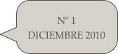 Nº 1 DICIEMBRE 2010